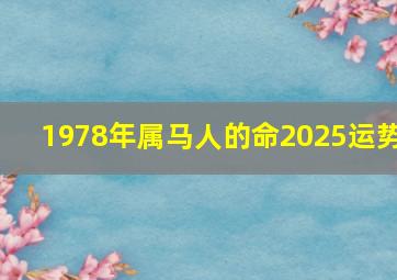 1978年属马人的命2025运势