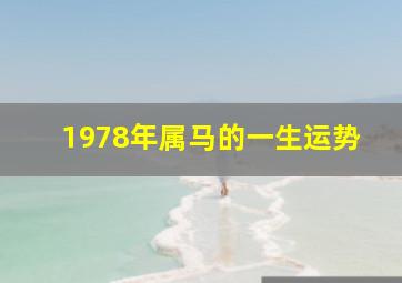 1978年属马的一生运势