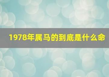 1978年属马的到底是什么命