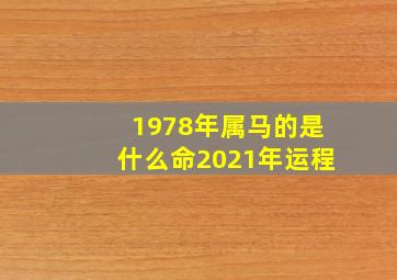 1978年属马的是什么命2021年运程