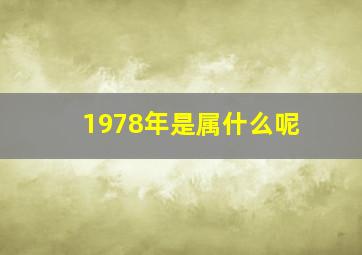 1978年是属什么呢