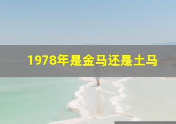 1978年是金马还是土马