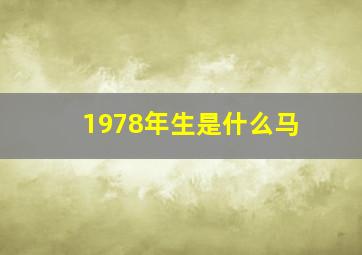 1978年生是什么马