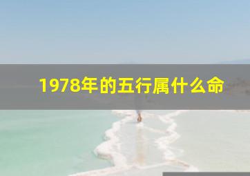 1978年的五行属什么命