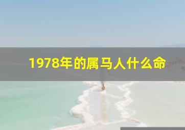 1978年的属马人什么命