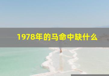 1978年的马命中缺什么