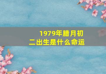 1979年腊月初二出生是什么命运