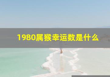 1980属猴幸运数是什么