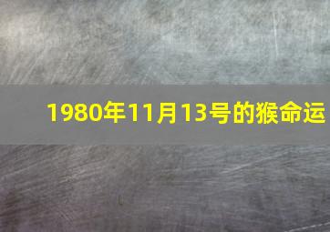 1980年11月13号的猴命运