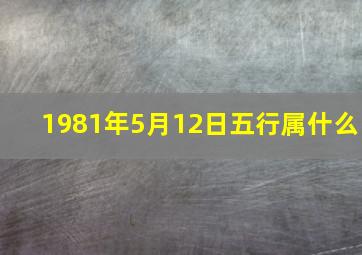 1981年5月12日五行属什么