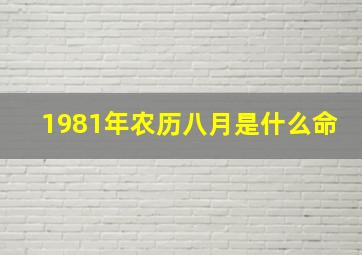 1981年农历八月是什么命