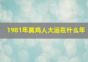 1981年属鸡人大运在什么年