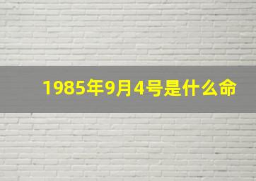 1985年9月4号是什么命