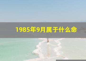 1985年9月属于什么命