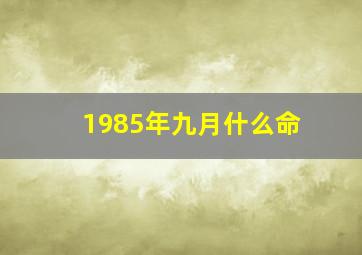 1985年九月什么命