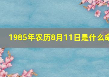 1985年农历8月11日是什么命