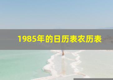 1985年的日历表农历表