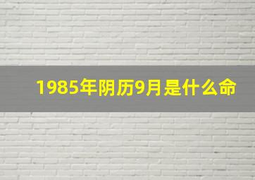 1985年阴历9月是什么命