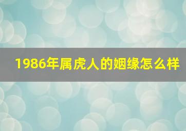 1986年属虎人的姻缘怎么样