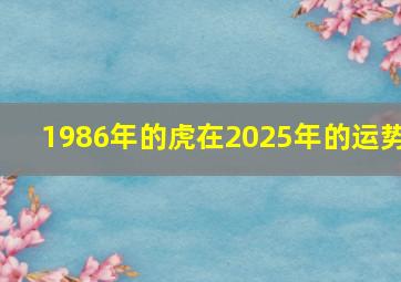 1986年的虎在2025年的运势