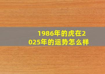 1986年的虎在2025年的运势怎么样