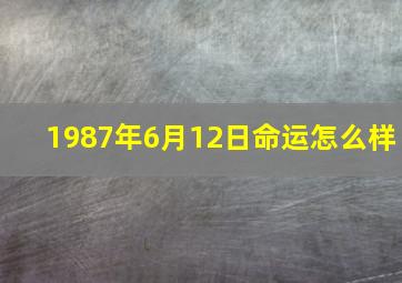 1987年6月12日命运怎么样