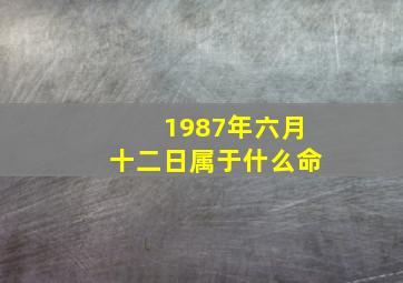 1987年六月十二日属于什么命