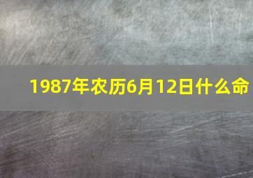 1987年农历6月12日什么命