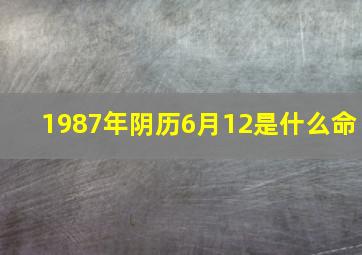 1987年阴历6月12是什么命