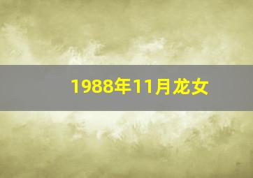 1988年11月龙女