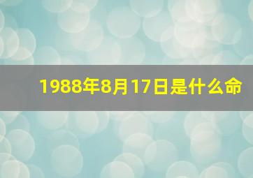 1988年8月17日是什么命