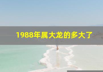 1988年属大龙的多大了