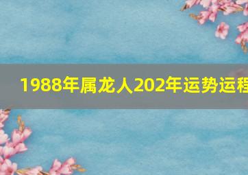 1988年属龙人202年运势运程