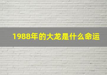 1988年的大龙是什么命运