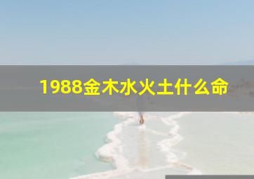 1988金木水火土什么命