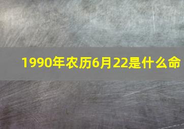 1990年农历6月22是什么命