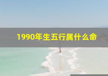 1990年生五行属什么命