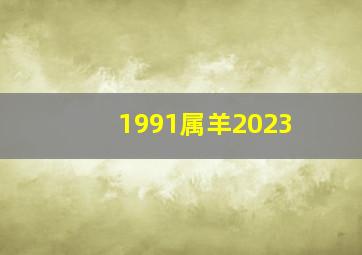 1991属羊2023