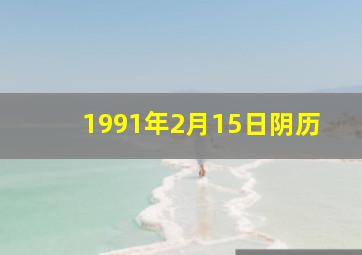 1991年2月15日阴历