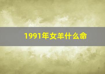 1991年女羊什么命