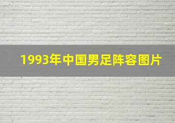 1993年中国男足阵容图片