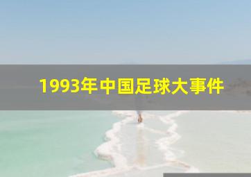 1993年中国足球大事件