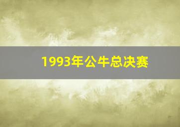 1993年公牛总决赛