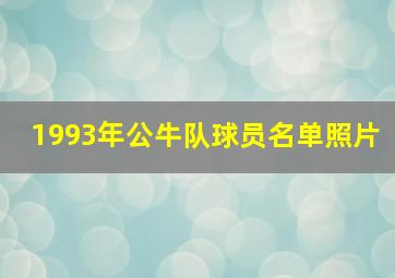 1993年公牛队球员名单照片