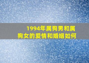 1994年属狗男和属狗女的爱情和婚姻如何