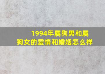 1994年属狗男和属狗女的爱情和婚姻怎么样