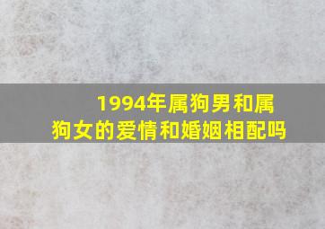 1994年属狗男和属狗女的爱情和婚姻相配吗