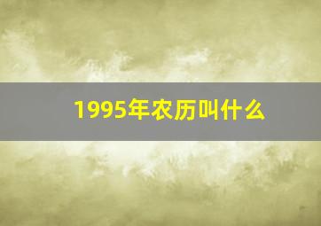 1995年农历叫什么