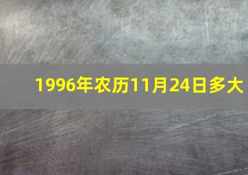 1996年农历11月24日多大