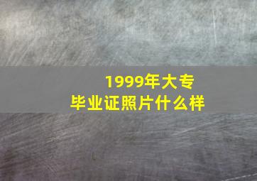 1999年大专毕业证照片什么样